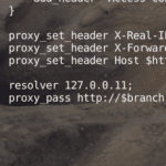 nginx proxy_pass $variable