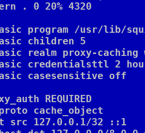 Ubuntu + Anonymous Squid proxy with password authentication